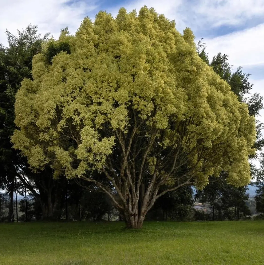 Finca Campestre De 2 Pisos En Guarne Colombia